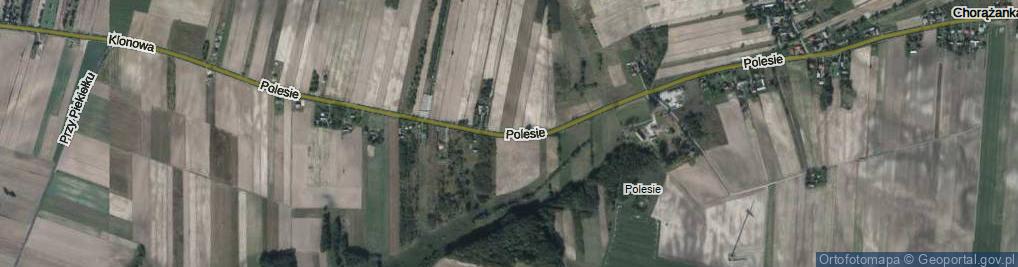 Zdjęcie satelitarne Polesie ul.